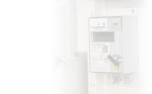 SWL_Zaehler-Ablesung_Homepage_1366x577-Zaehler.png