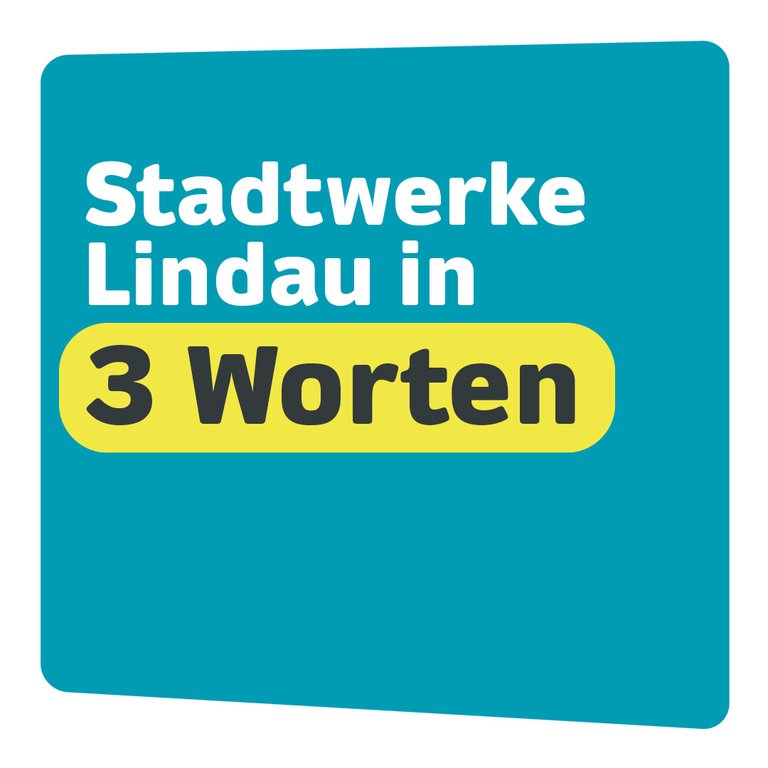 SWLI_M4_Kampagne-Umfrage-Videos_Beitragsbild_in-3-Worten_1080x1080.jpg