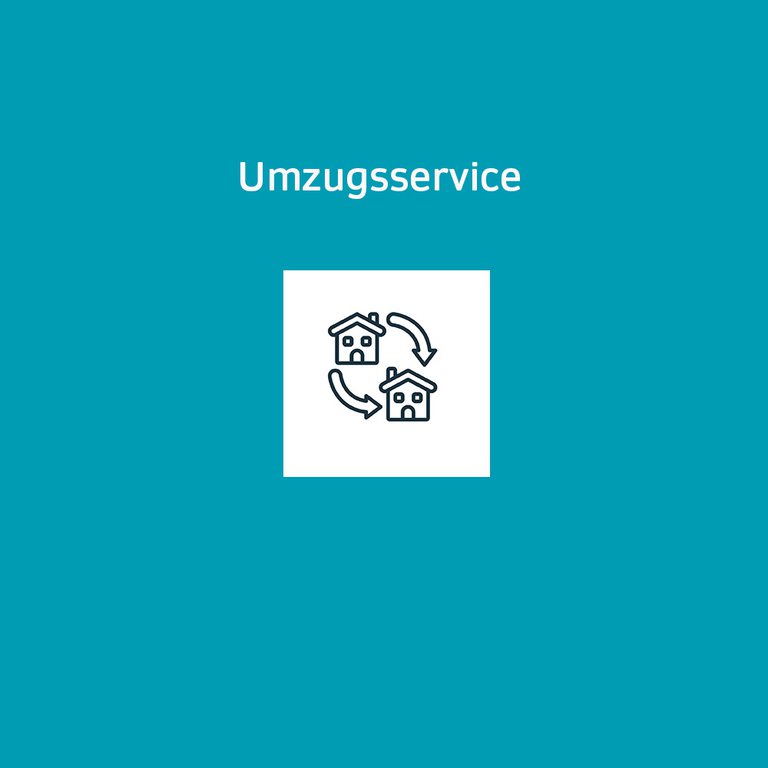 Umzug.jpg